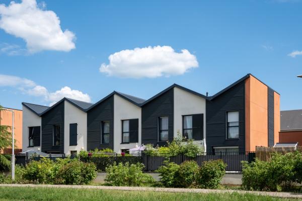 Sectional Title Surveys